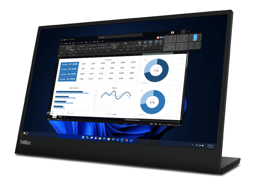 ThinkVision M15
